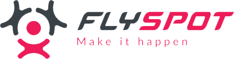 Logo Flyspot